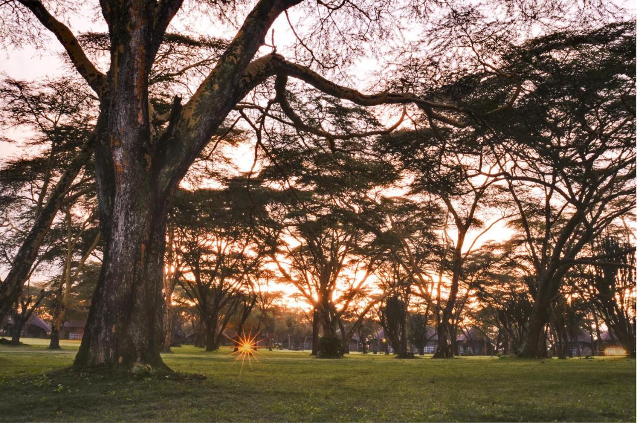 Lake Naivasha Sopa Resort Eksteriør bilde